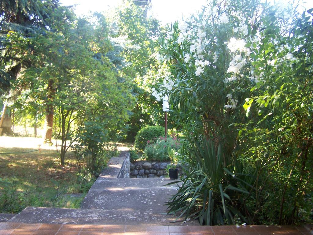 Vila Popovski Ljubaništa Chambre photo