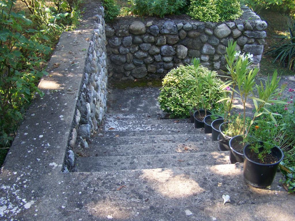 Vila Popovski Ljubaništa Extérieur photo