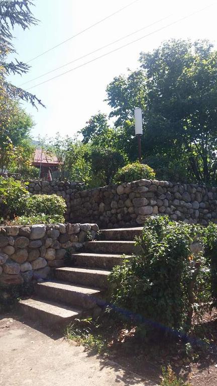 Vila Popovski Ljubaništa Extérieur photo